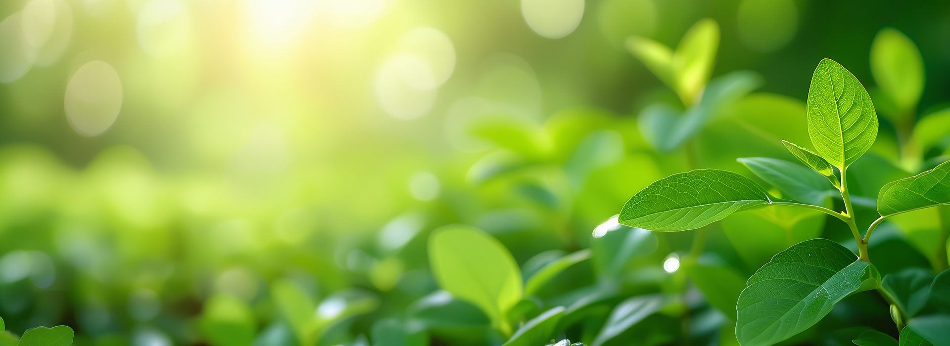 驅動 ESG 綠色工業：安寶節能濾網系列